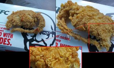 KFC says lab test shows 'fried rat' is actually chicken