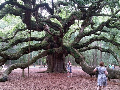 south carolina