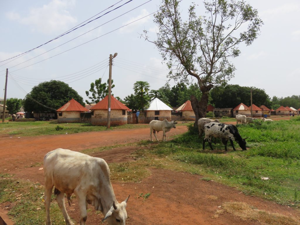 The compound of Tamale Polytechnic, one of the most deprived tertiary institutions in Ghana